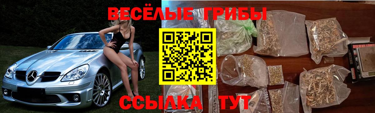 Галлюциногенные грибы Magic Shrooms  Псилоцибиновые грибы GOLDEN TEACHER  Вход с VPN  Белая Калитва 
